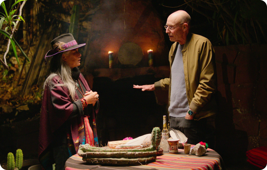 The Psychedelic Renaissance